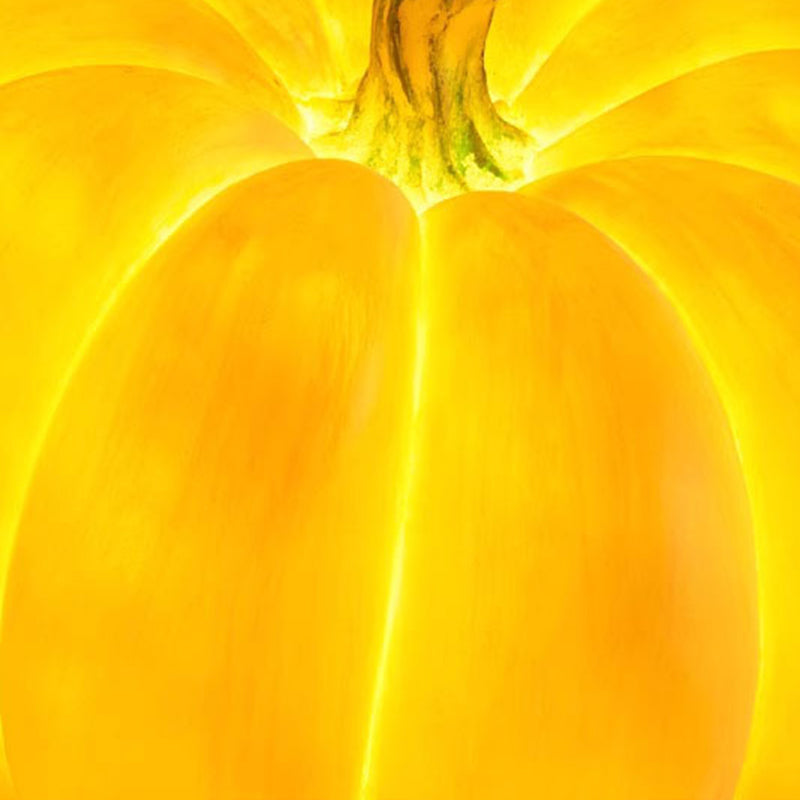 Outdoor Pumpkin Floor Lamp 5