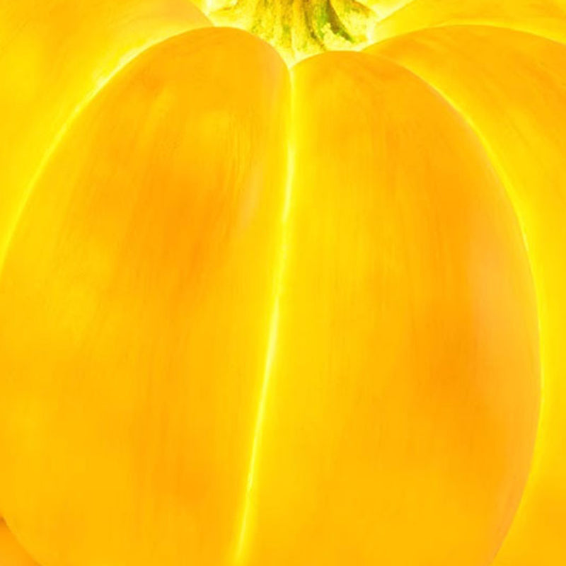 Outdoor Pumpkin Floor Lamp 6